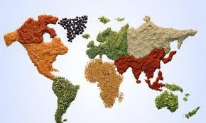 GASTRONOMÍA INTERNACIONAL